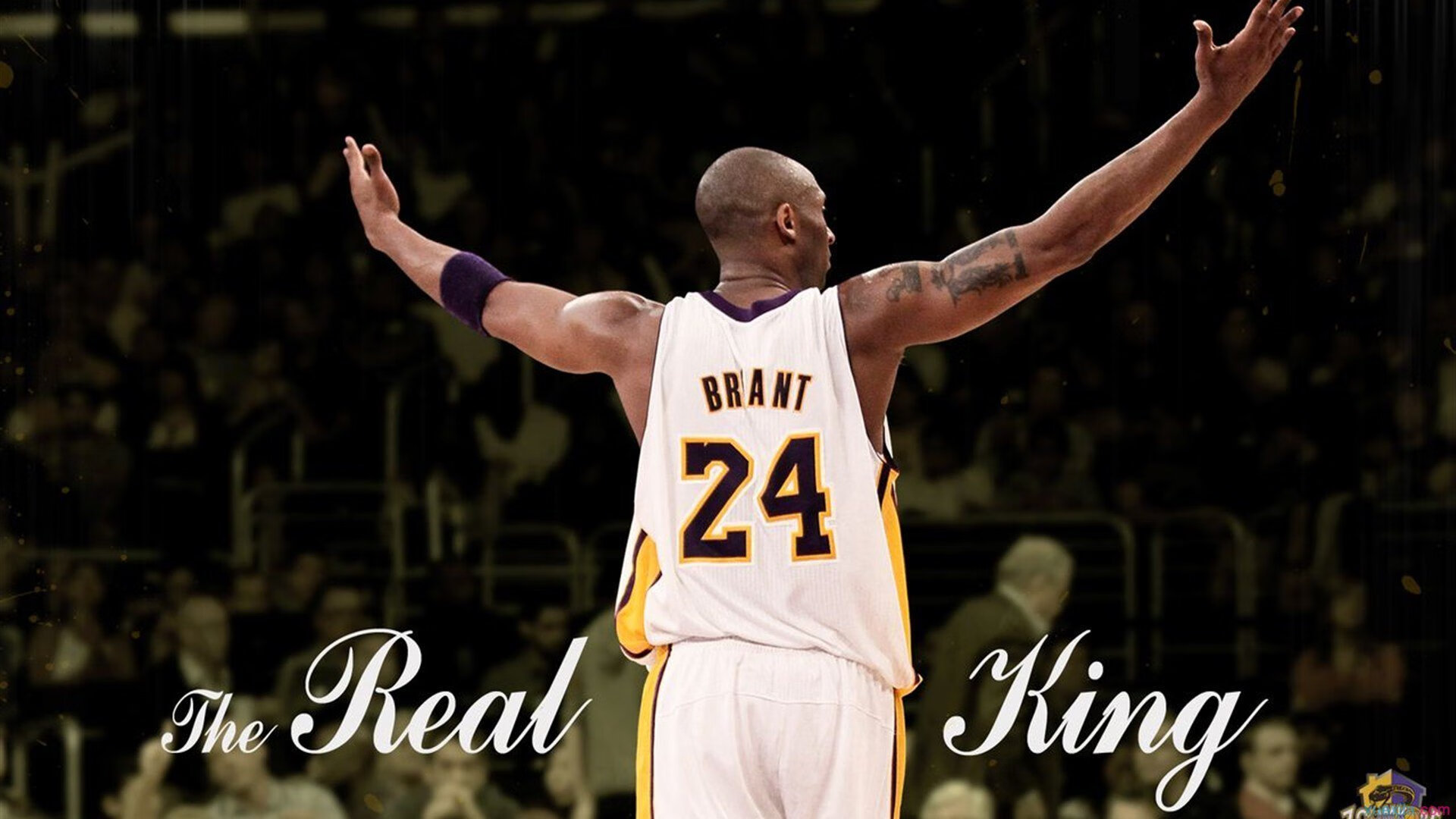 体育场馆数字化管理,体育场馆智慧化建设